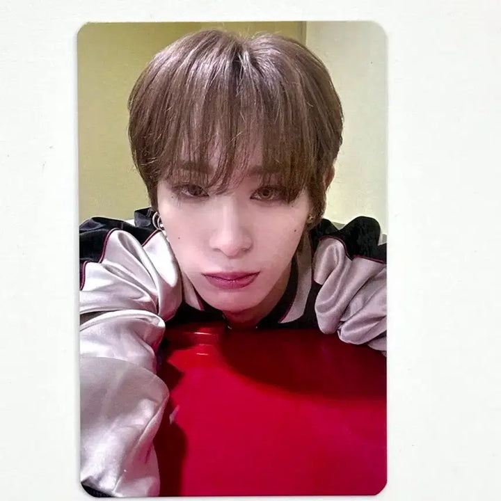 [BUNJANG] XLOV HARU Photocard / XLOV HARU 엑스러브 하루 poca pobs 포카 포토카드
