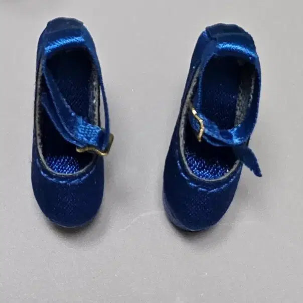 [BUNJANG] Giselle NuFace Blue Shoes with Free Hoodie / 지젤 누페이스 [ 디폴 신발 1개 ] + 사은품[ 예쁜후드티 ]