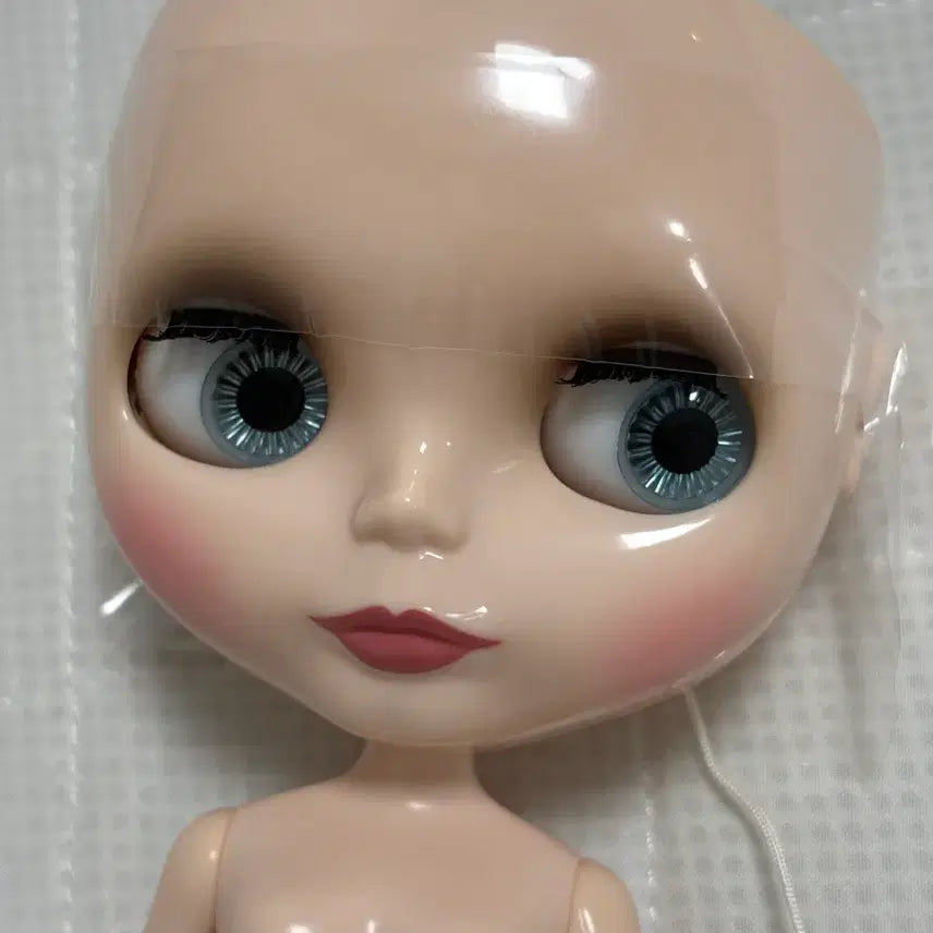 [BUNJANG] Blythe Didi Diarist Almari Unused / (미사용) 브라이스 댄디 디어리스트 알머리 미사용