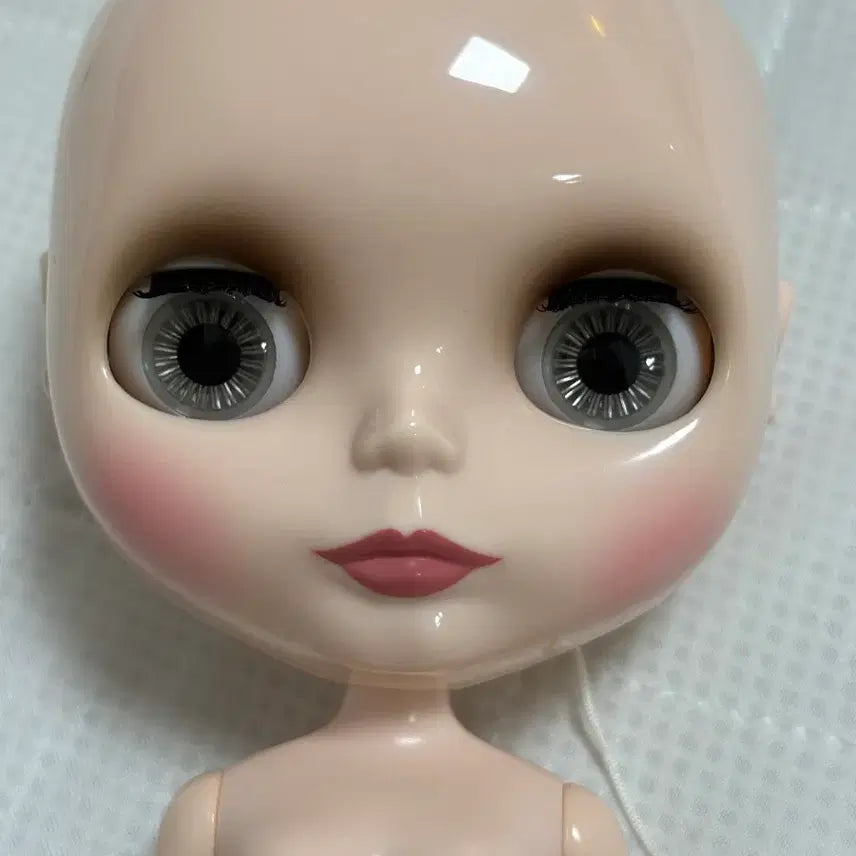 [BUNJANG] Blythe Didi Diarist Almari Unused / (미사용) 브라이스 댄디 디어리스트 알머리 미사용