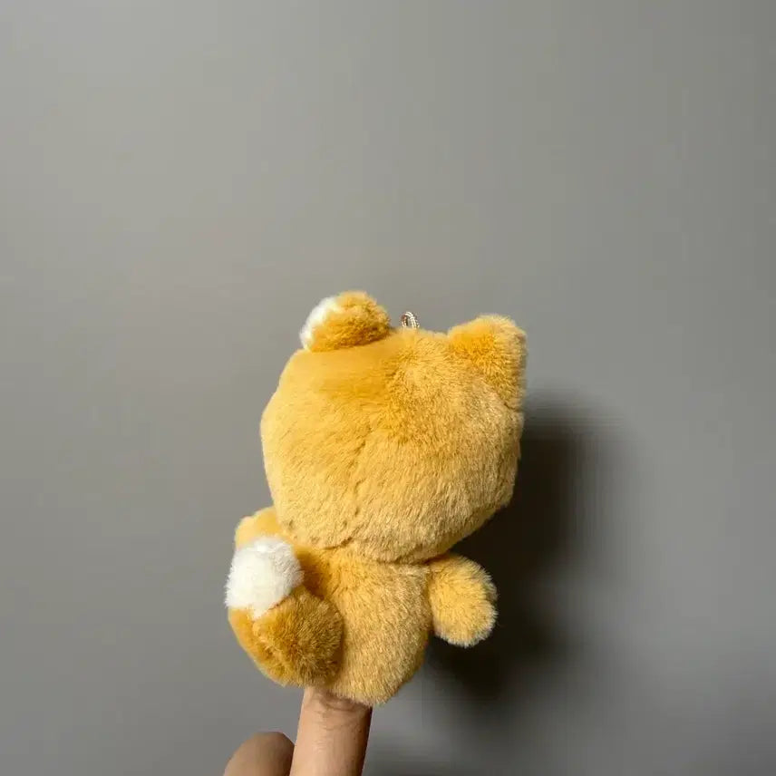 [BUNJANG] Day6 Petit Merz Finger Doll (Ke) / 데이식스 쁘띠멀즈 손가락 인형(케)