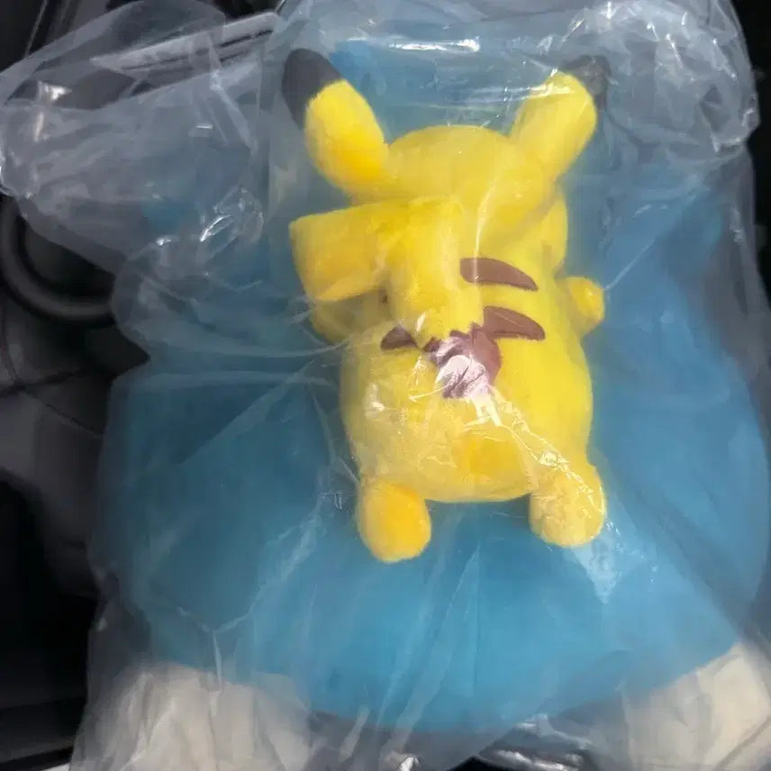 [BUNJANG] Pokemon Ichiban Kuji Sleeping Snorlax &amp; Pikachu Plush (B Prize, Sealed) / 포켓몬스터 제일복권 잠자는 잠만보&amp;피카츄인형 B상 미개봉