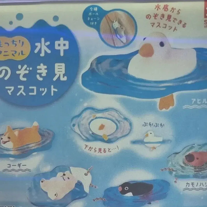 [BUNJANG] Platypus Gacha Keyring / 오리너구리 키링 가챠