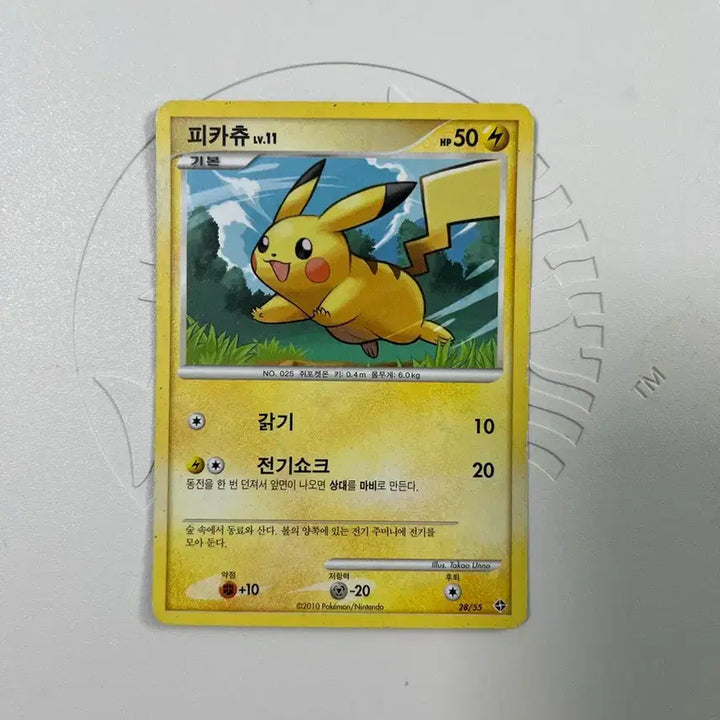 [BUNJANG] Pokemon Card Pikachu Lv. 11 Ancient Card / 포켓몬카드 피카츄 Lv. 11 포켓몬 카드 고대카드