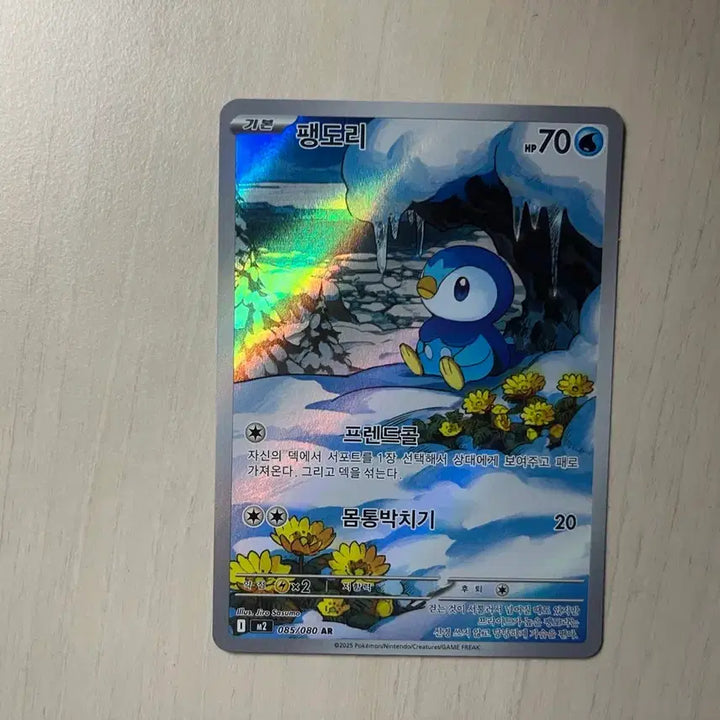[BUNJANG] Pokemon AR Card Bundle / 포켓몬 ar카드 일괄(팽도리,야도란,쥬레곤,샤크니아,로파파,카르본,샤크니아