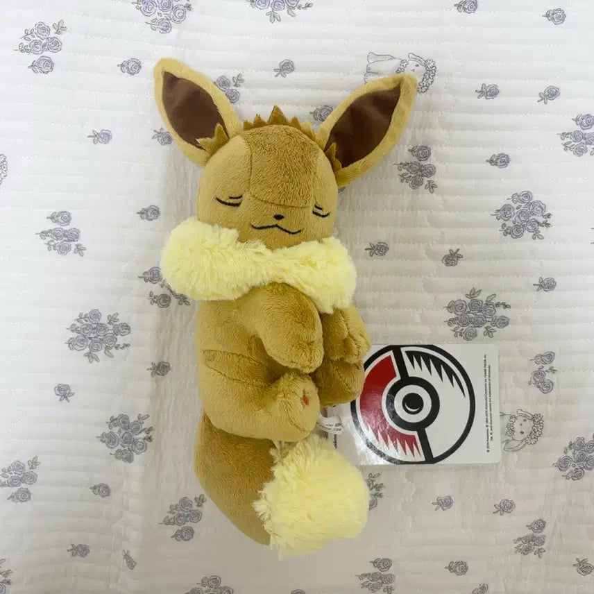 [BUNJANG] Pokemon Eevee Sleeping Plush / 포켓몬 이브이 잠자는 인형 스야스야