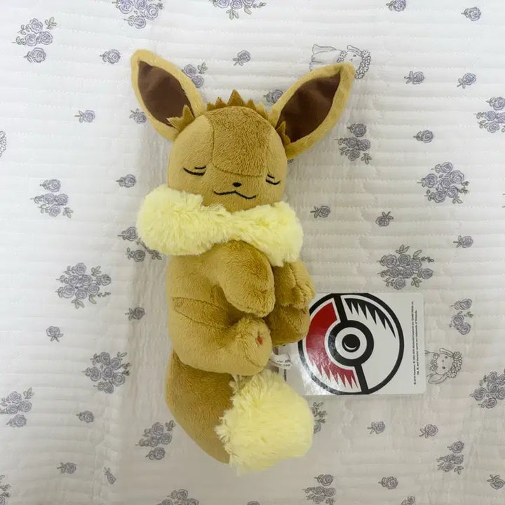 [BUNJANG] Pokemon Eevee Sleeping Plush / 포켓몬 이브이 잠자는 인형 스야스야