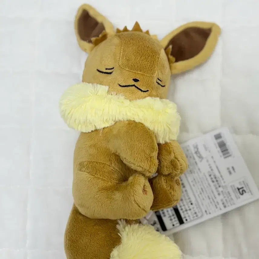 [BUNJANG] Pokemon Eevee Sleeping Plush / 포켓몬 이브이 잠자는 인형 스야스야