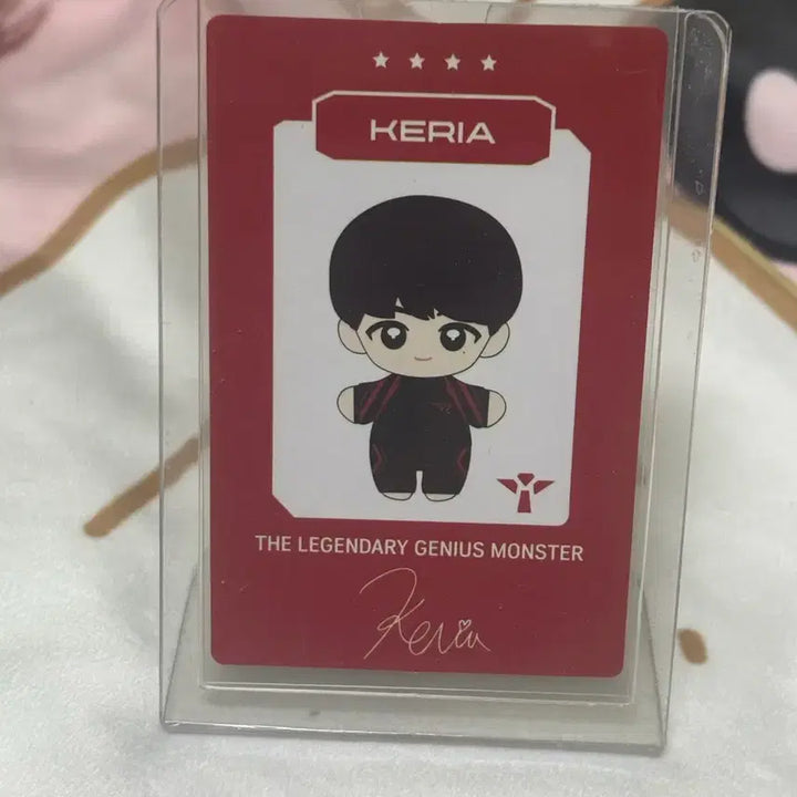 [BUNJANG] T1 Keria Doll Photocard / T1 케리아 인형 포카 판매합니다