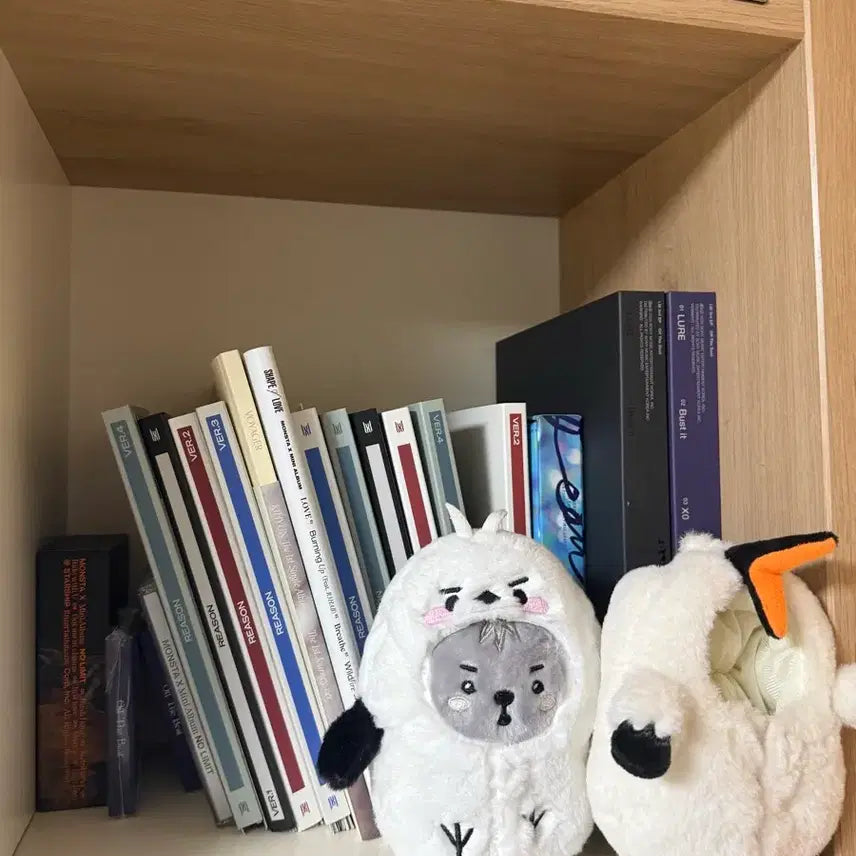 [BUNJANG] Monsta X Album &amp; Merchandise Bundle Set / 몬스타엑스 굿즈 급처 (포카 포함