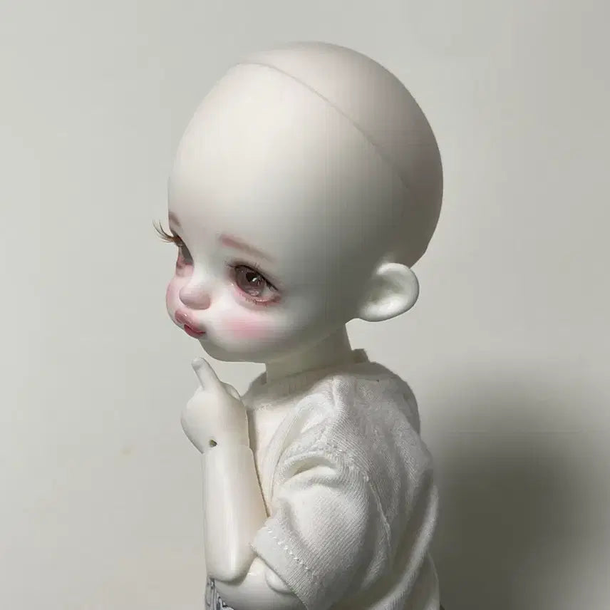 [BUNJANG] Fluffy-Chi Hanabbbu BJD Doll / (7/22~25)플러피치 하나뿌 구체관절인형