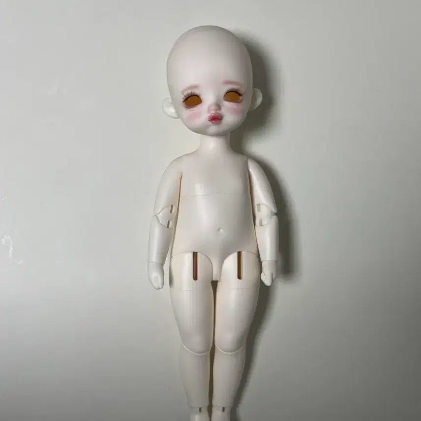 [BUNJANG] Fluffy-Chi Hanabbbu BJD Doll / (7/22~25)플러피치 하나뿌 구체관절인형