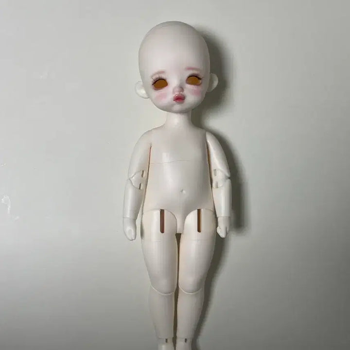 [BUNJANG] Fluffy-Chi Hanabbbu BJD Doll / (7/22~25)플러피치 하나뿌 구체관절인형