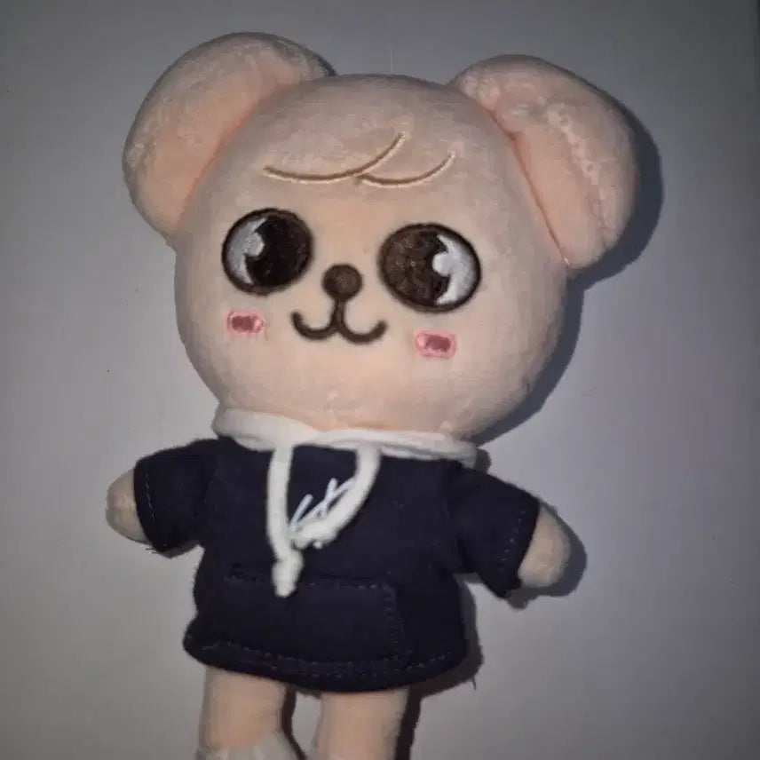 [BUNJANG] Stray Kids Seungmin Perfim Mini Plush Doll / 스트레이키즈 승민 퍼핌 미니 인형 양도/방찬리노창빈현진한용복승민아이엔