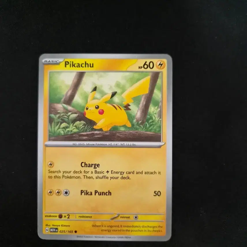 [BUNJANG] Pikachu 2023 North America Edition / 2023 피카츄 북미판