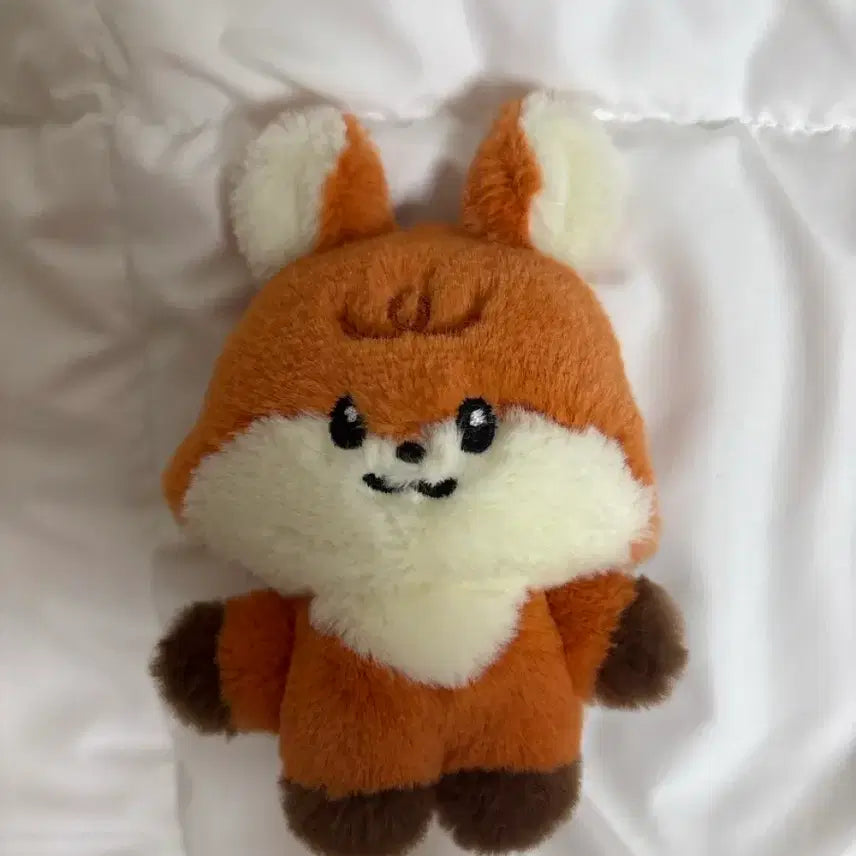 [BUNJANG] NCT Dream Renjun Jjun Doll / 엔시티드림 런쥔 쭌 인형
