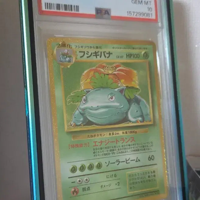 [BUNJANG] Pokemon Japanese Venusaur Card PSA 10 (Includes Case) / 포켓몬스터 일판 클래식 이상해꽃 카드 PSA 10(케이스 포함)