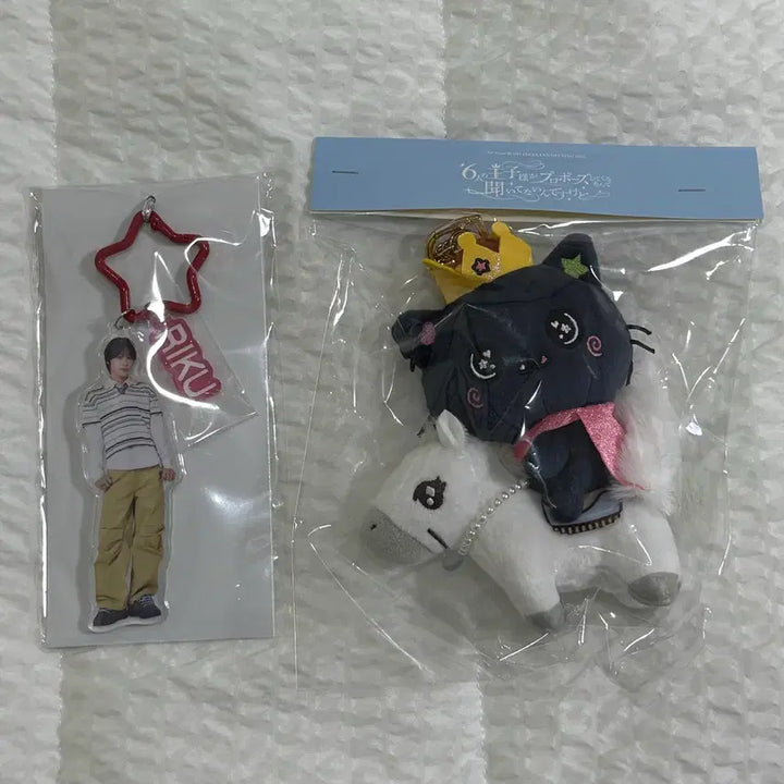 [BUNJANG] NCT WISH Riku "White Horse Idol" Acrylic Keyring (Japan Fanmeeting Goods) / (미개봉현물) 엔시티위시 nct wish 일본팬미팅 백마돌 쿠리 리쿠키링