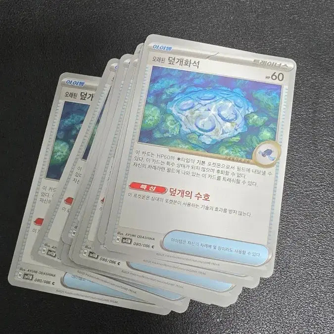 [BUNJANG] Pokemon Card Fossil Set Accessories / 포켓몬 카드 오래된 덮개화석