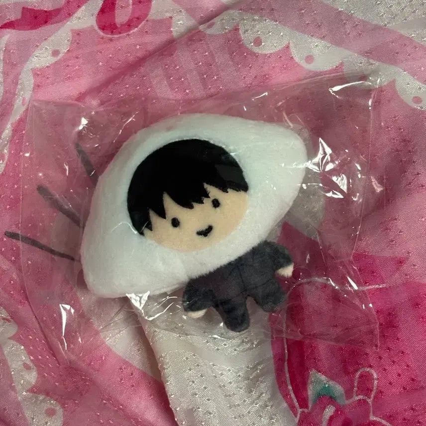 [BUNJANG] Songpyeon Dokja Kim Dokja Doll Yoo Joonghyuk / 송편독자 전독시 김독자 인형 유중혁
