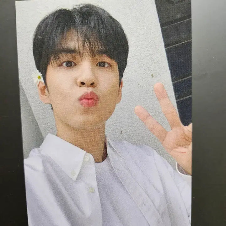 [BUNJANG] Day6 Cosmo Photocard / 데이식스 코스모 포카