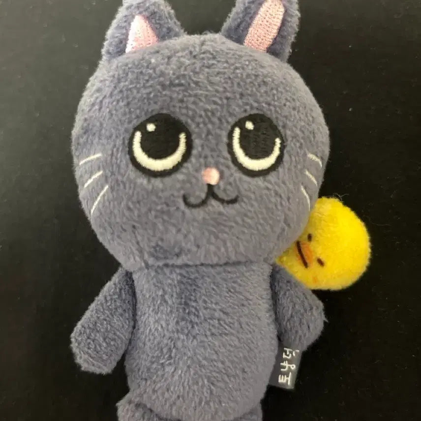 [BUNJANG] RIIZE Wonbin Little RIIZE Baby Cat &amp; Chick Plush 8cm / 라이즈 원빈 리틀라이즈 리라즈 베이비 토냥덕 8cm 양도