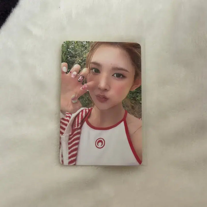 [BUNJANG] Ha:ts to Ha:ts E:NA Lemon Tang Photocard / 하투하 레몬탱 포카 앨포 하츠투하츠 에이나 포카 앨범