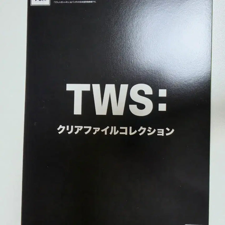 [BUNJANG] TWS Bandai Clear File Dohoon / 투어스 반다이 클리어파일 도훈
