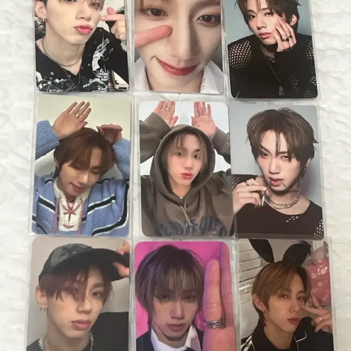[BUNJANG] Darkbee Harryjun Bundle Set Photocard / 다크비 해리준 포토카드 일괄
