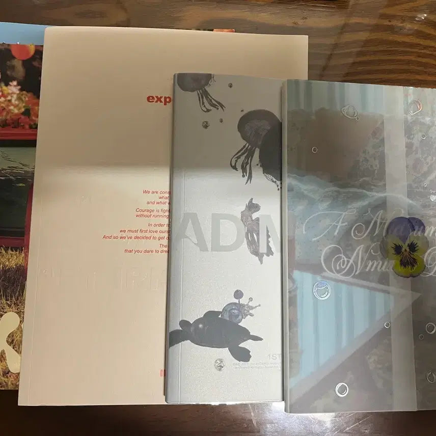 [BUNJANG] NMIXX Unsealed Album Bundle Set / 엔믹스 개봉 앨범 일괄 판매