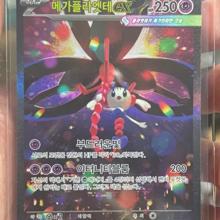 [BUNJANG] Pokemon Card Mega Pidgeot SAR / 포켓몬카드 메가플라엣테 SAR