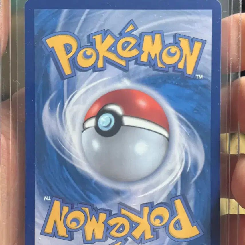 [BUNJANG] Pokemon Card Mega Pidgeot SAR / 포켓몬카드 메가플라엣테 SAR
