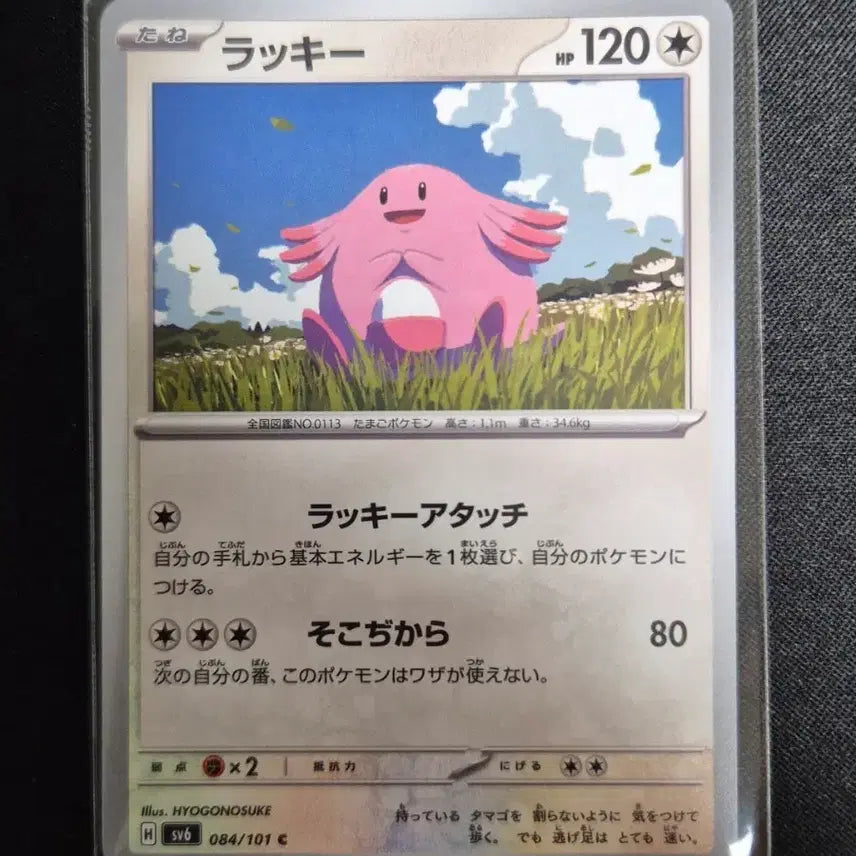 [BUNJANG] Pokemon Card Transformation&
