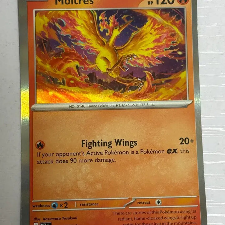 [BUNJANG] Pokemon Card [North American Edition Deck Box Cute] Charizard / 포켓몬카드 [북미판 덱소스 귀여운] 파이어