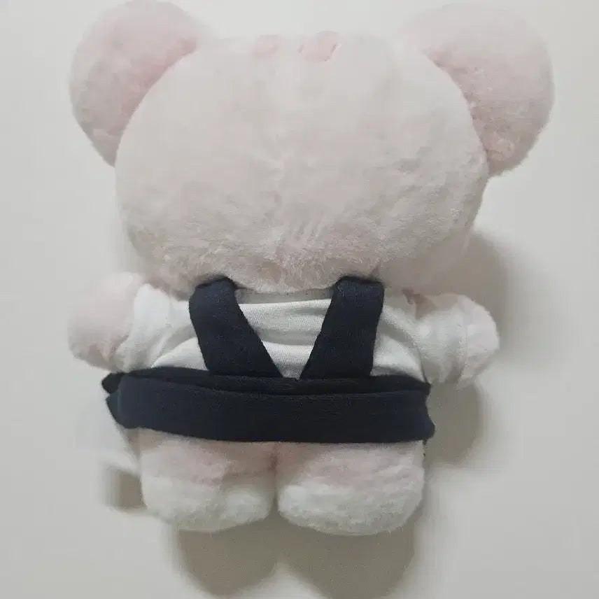 [BUNJANG] IVE Seo Lagnini Irangyi MiniIve Plush Doll / 아이브 이서 인형 랑니니 이랑이 팝업 미니브