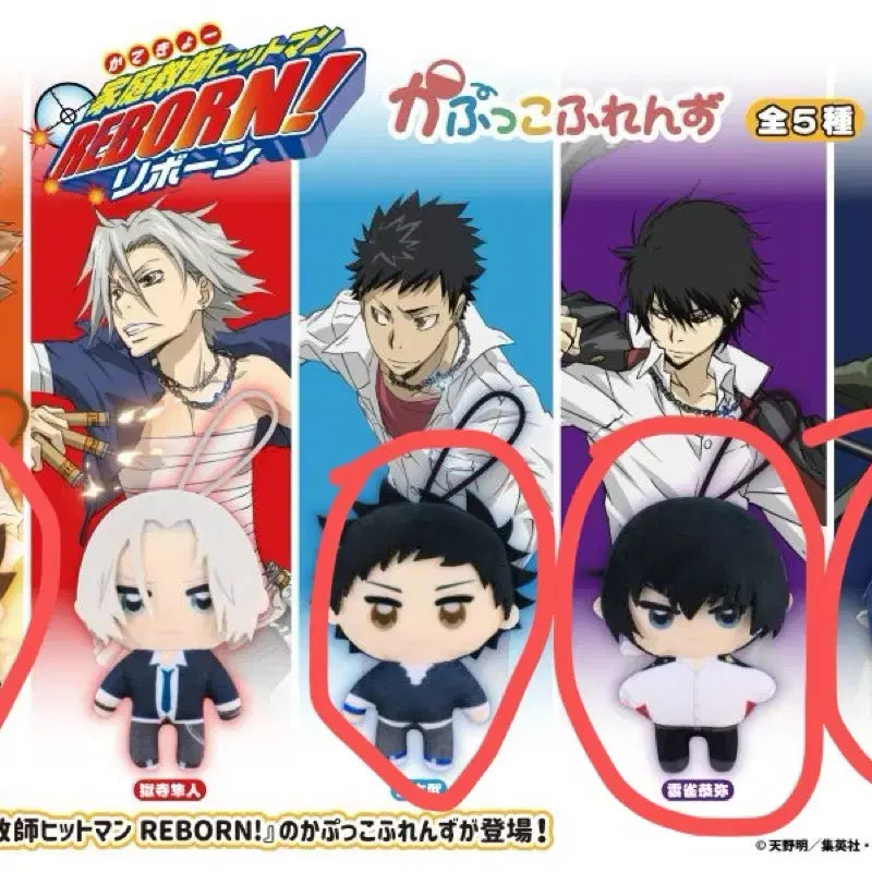 [BUNJANG] Katekyo Hitman Reborn! Capuchon Friends Gacha Set (4 Types) / 가정교사 히트맨 리본 가히리 카푸코프렌즈 가챠 4종
