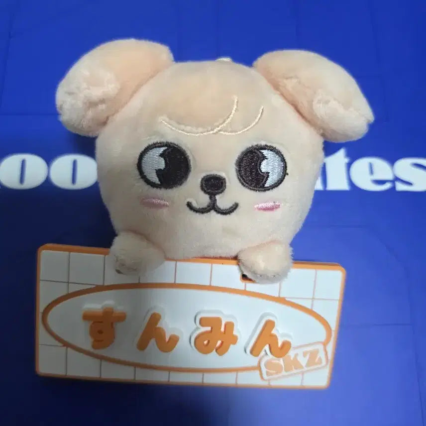 [BUNJANG] Stray Kids Seungmin PERMICE Gangnam Name Bag Charm / 스트레이키즈 승민 퍼핌 일본 굿즈 네임 백참