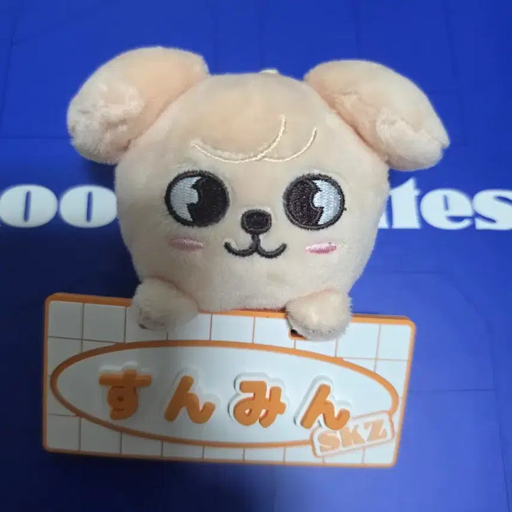[BUNJANG] Stray Kids Seungmin PERMICE Gangnam Name Bag Charm / 스트레이키즈 승민 퍼핌 일본 굿즈 네임 백참