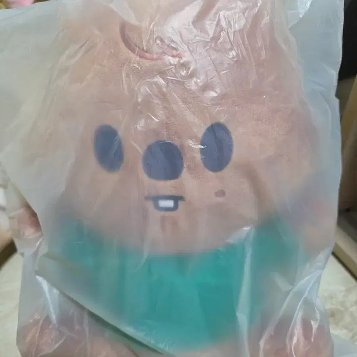 [BUNJANG] SKZOO Hug Me SKZOO Plush / 스키주 허그미 한쿼카