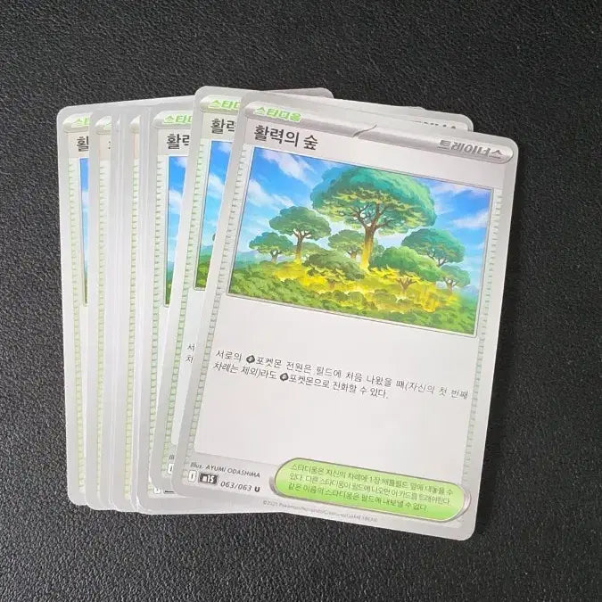 [BUNJANG] Pokemon Card Forest of Vitality Stadium / 포켓몬 카드 스타디움 활력의 숲