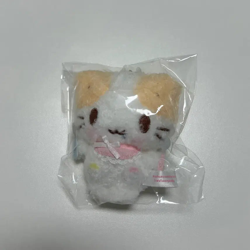 [BUNJANG] Sanrio Marshmallow Plush / 산리오 마슈마로 인형