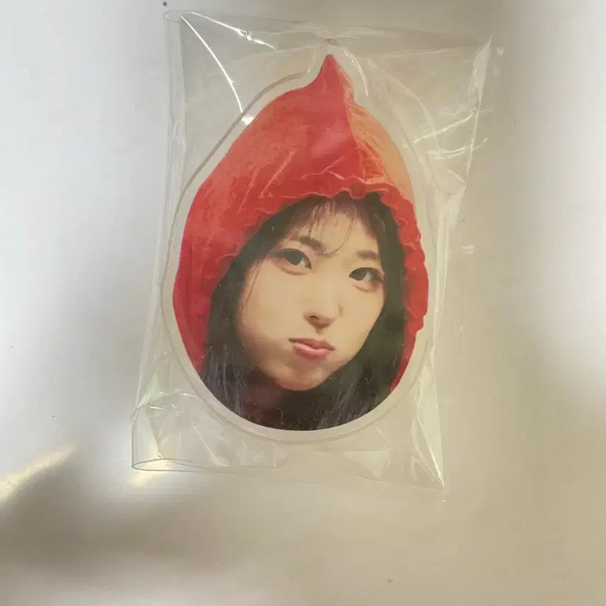[BUNJANG] QWER Hina Hoodie Photocard Holder / Qwer히나 그립톡