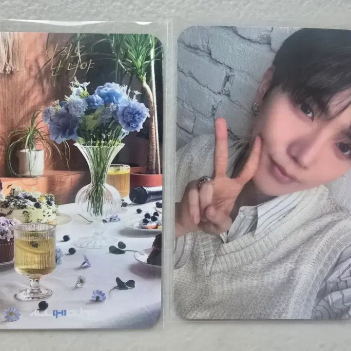 [BUNJANG] All Hours Hyunbin Fanmeeting Photocard / 올아워즈 현빈 공방 포카 양도