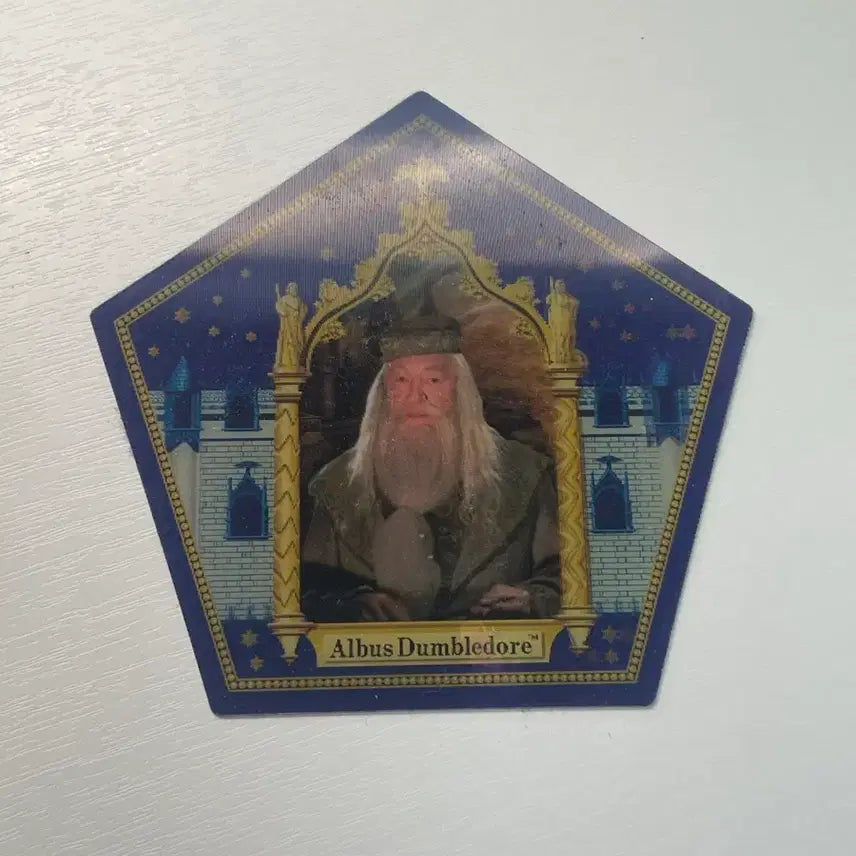 [BUNJANG] Harry Potter Dumbledore Chocolate Frog Goods / 해리포터 덤블도어 개구리 초콜릿 굿즈 판매