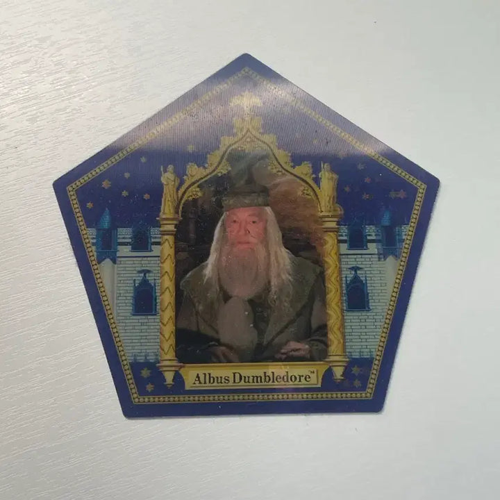 [BUNJANG] Harry Potter Dumbledore Chocolate Frog Goods / 해리포터 덤블도어 개구리 초콜릿 굿즈 판매