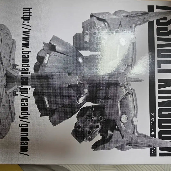 [BUNJANG] Assault Kingdom Neo Zeong Action Figure / 어썰트킹덤 네오지옹 팝니다