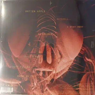 [BUNJANG] Alice in Chains Jar of Flies EP / [리이슈엘피]Alice in Chains   Jar of Flies