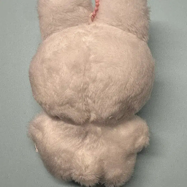 [BUNJANG] The Boyz Younghoon Bread Bunny Doll / 더보이즈 영훈 인형 빵바니