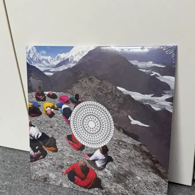 [BUNJANG] Hyukoh x Sunset Rollercoaster "Rollercoaster" AAA LP (Sealed) / 혁오x선셋 롤러코스터 AAA lp 미개봉