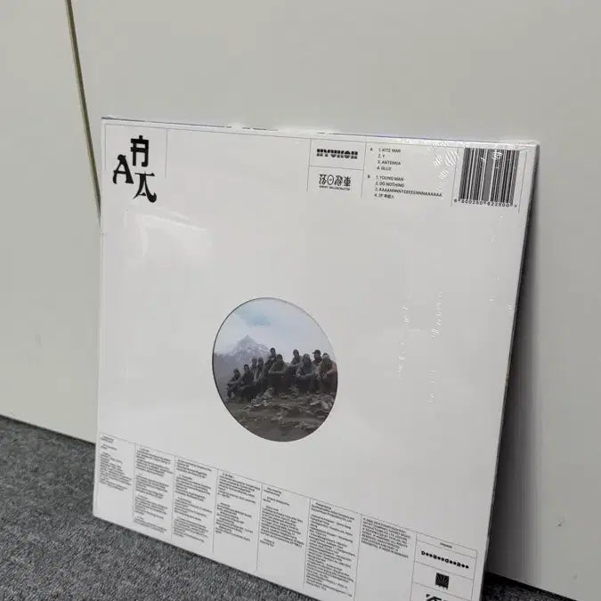 [BUNJANG] Hyukoh x Sunset Rollercoaster "Rollercoaster" AAA LP (Sealed) / 혁오x선셋 롤러코스터 AAA lp 미개봉